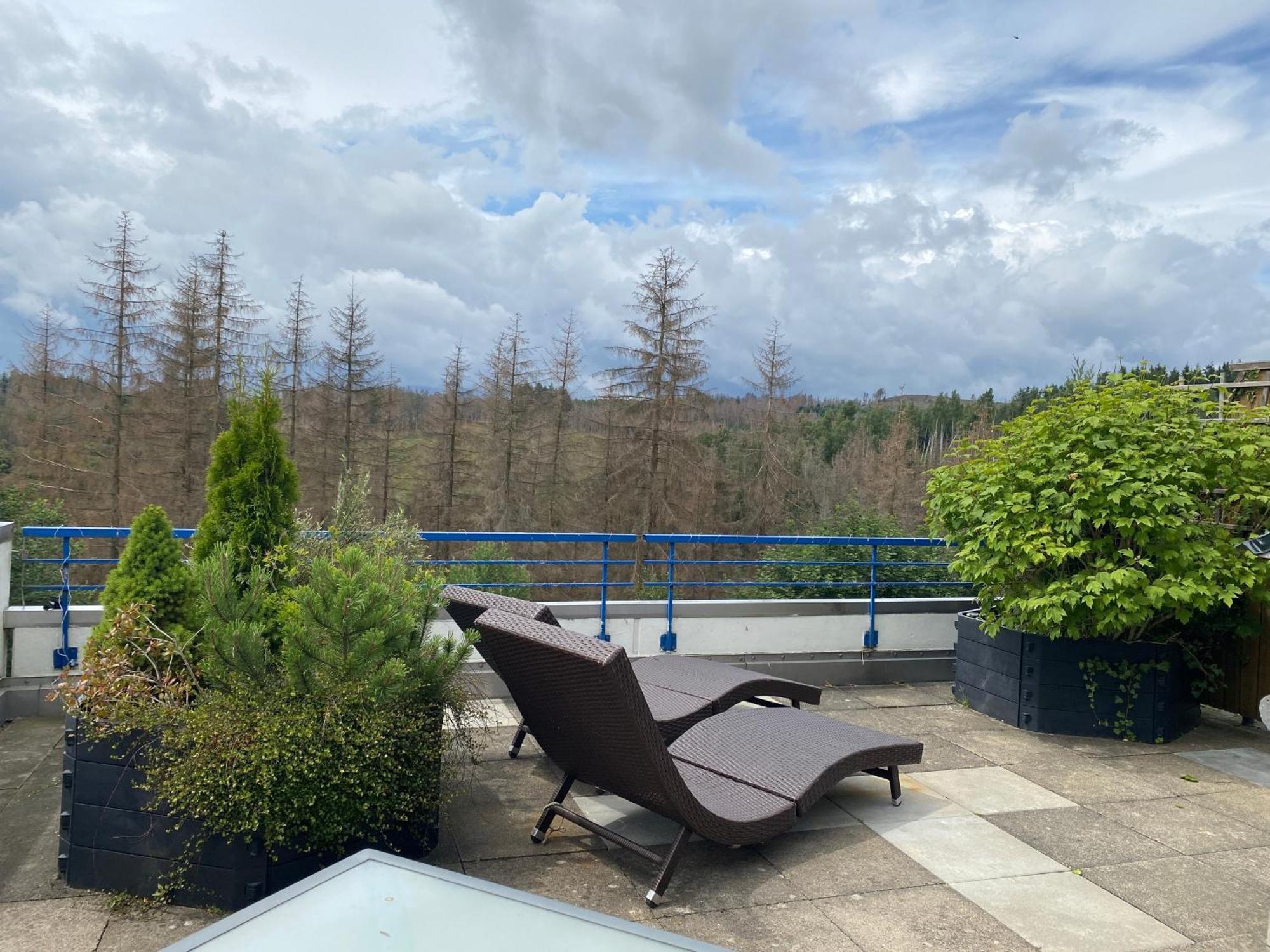 Ferienwohnung Harz #3, Pool, Sauna, Wlan Hohegeiss Exterior photo